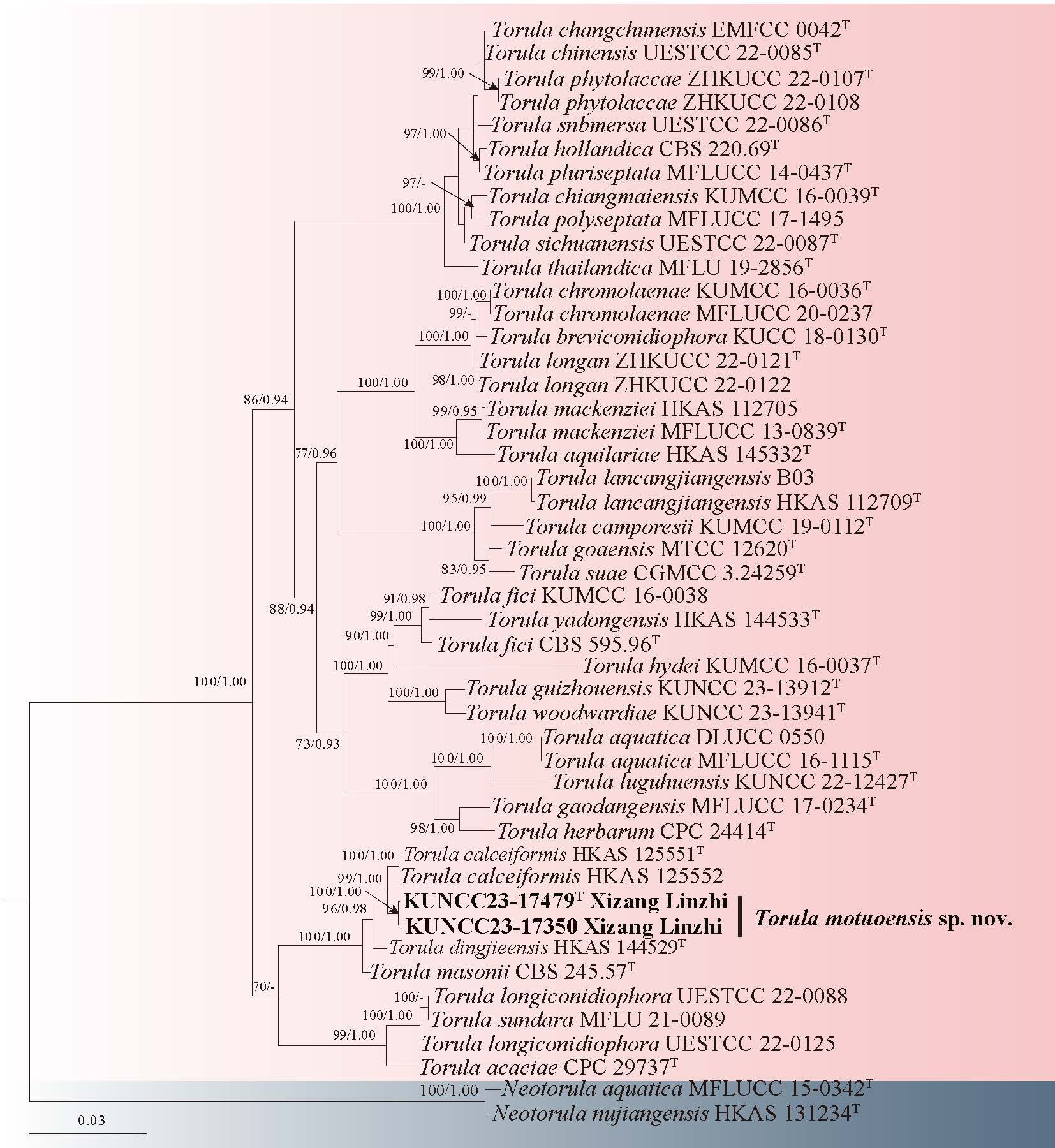 Figure 18